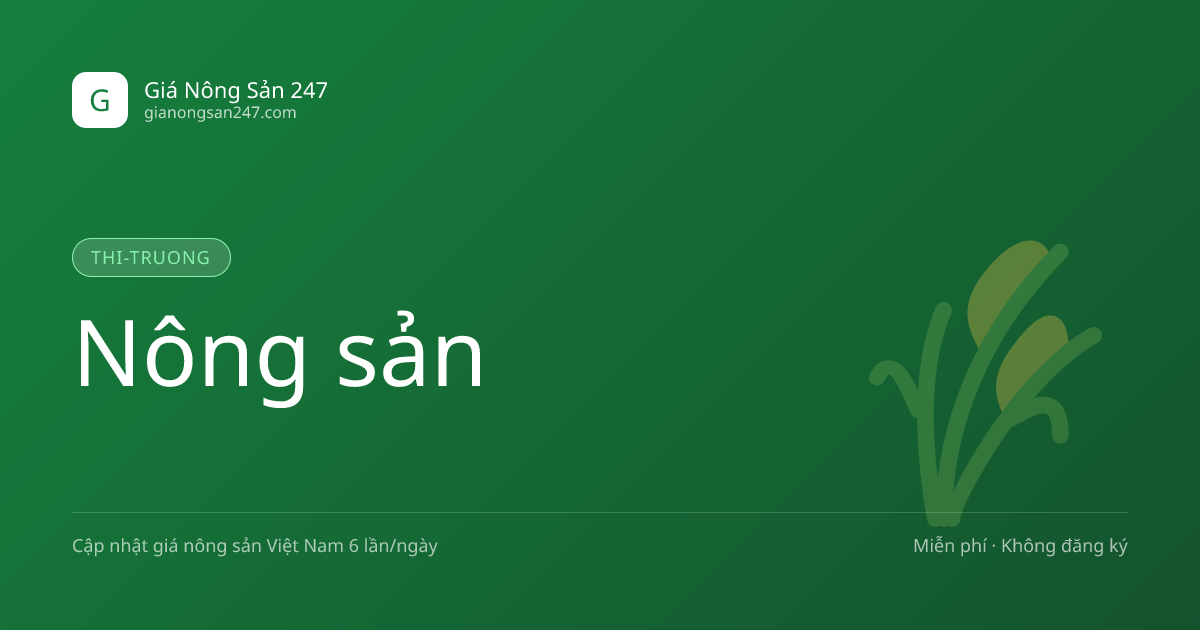 Vàng giữa tháng 10/2026: Bảy câu hỏi về giá và chênh lệch