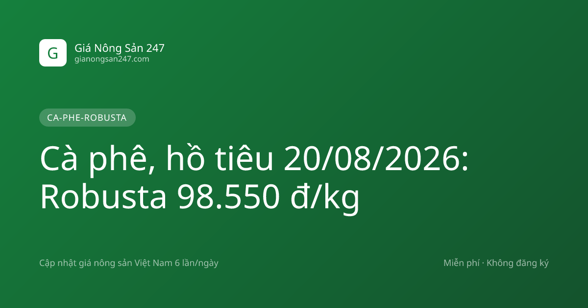 Cà phê, hồ tiêu 20/08/2026: Robusta 98.550 đ/kg