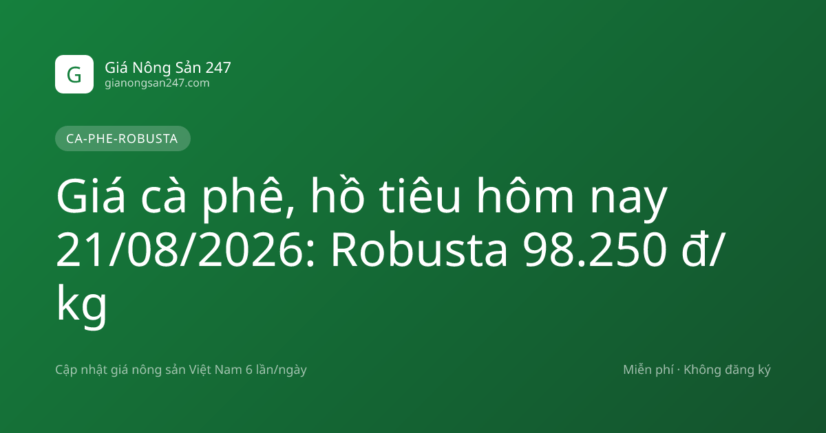 Giá cà phê, hồ tiêu hôm nay 21/08/2026: Robusta 98.250 đ/kg
