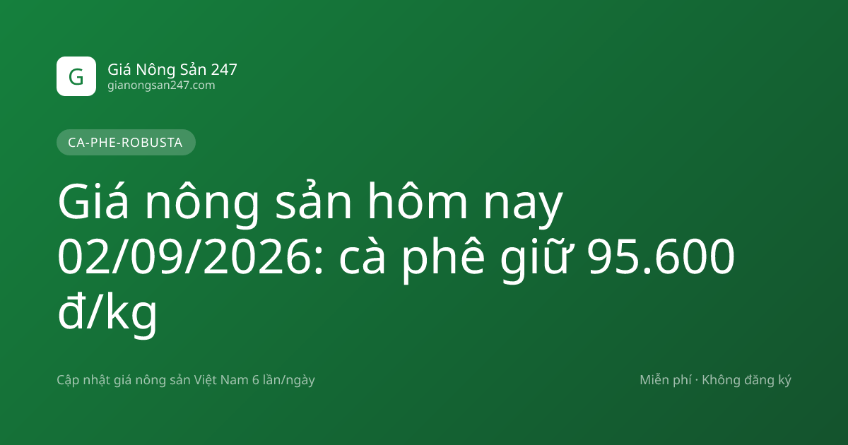 Giá nông sản hôm nay 02/09/2026: cà phê giữ 95.600 đ/kg