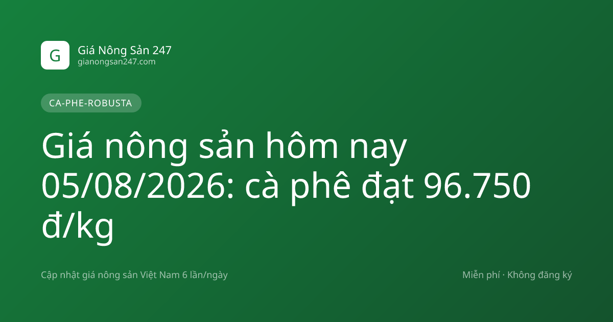 Giá nông sản hôm nay 05/08/2026: cà phê đạt 96.750 đ/kg