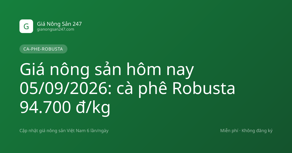 Giá nông sản hôm nay 05/09/2026: cà phê Robusta 94.700 đ/kg