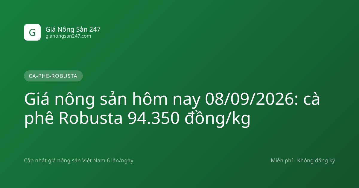 Giá nông sản hôm nay 08/09/2026: cà phê Robusta 94.350 đồng/kg