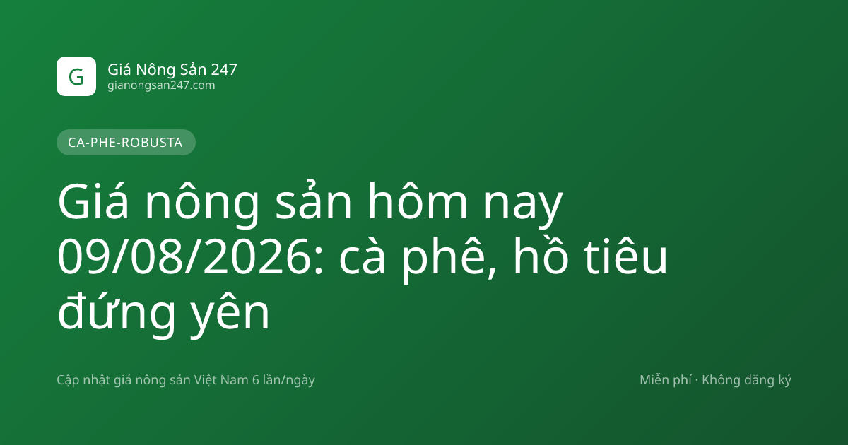 Giá nông sản hôm nay 09/08/2026: cà phê, hồ tiêu đứng yên