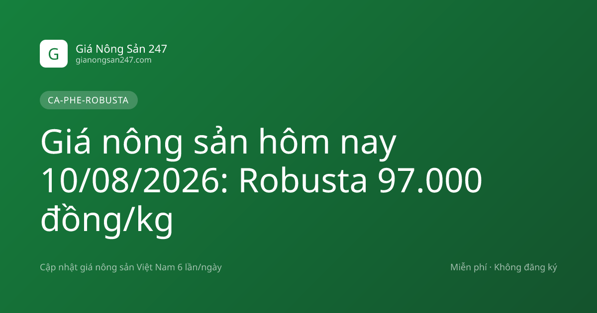 Giá nông sản hôm nay 10/08/2026: Robusta 97.000 đồng/kg