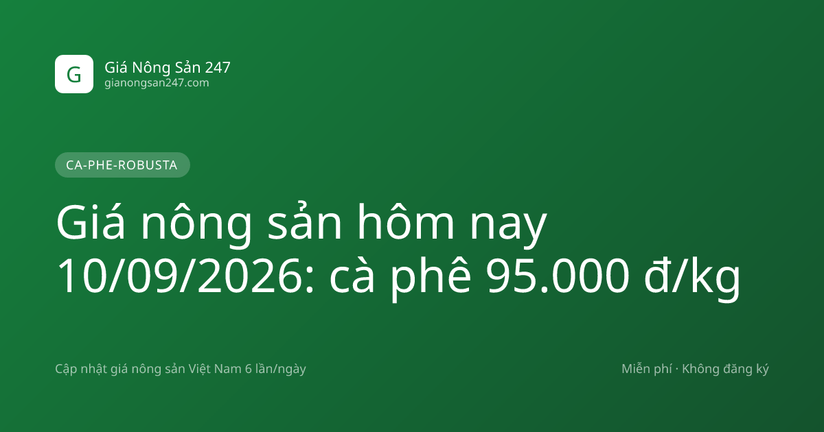 Giá nông sản hôm nay 10/09/2026: cà phê 95.000 đ/kg