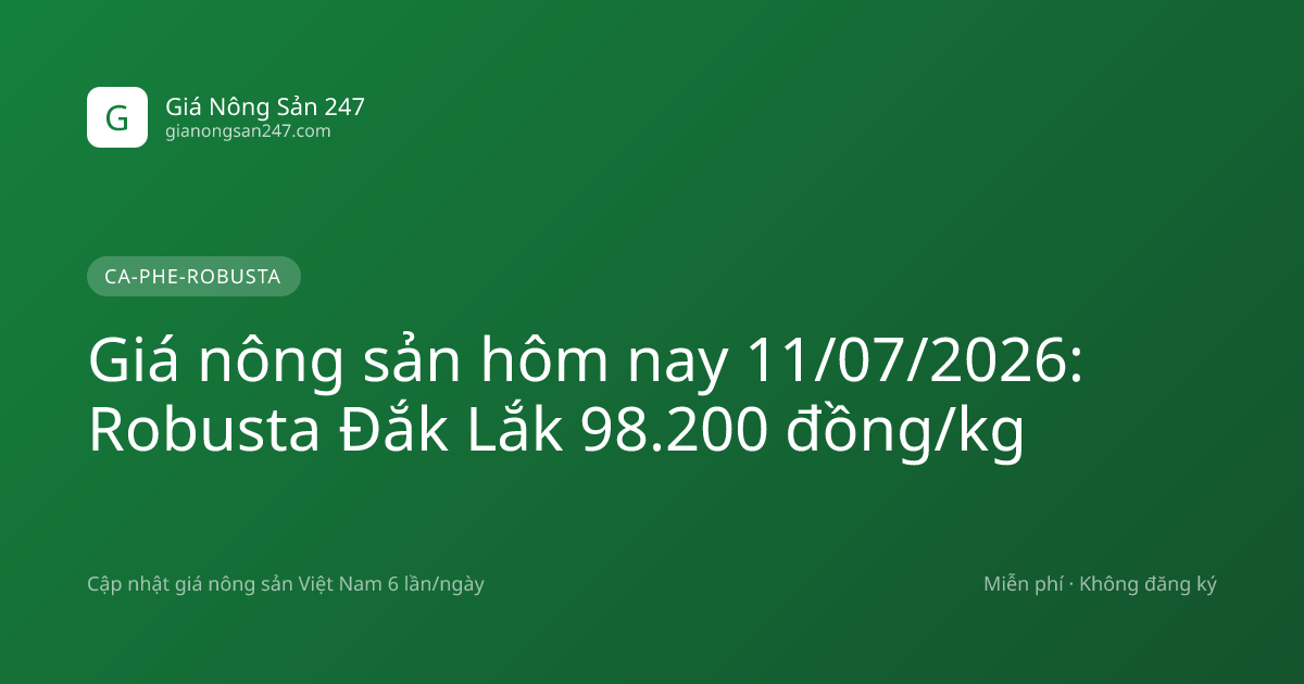 Giá nông sản hôm nay 11/07/2026: Robusta Đắk Lắk 98.200 đồng/kg