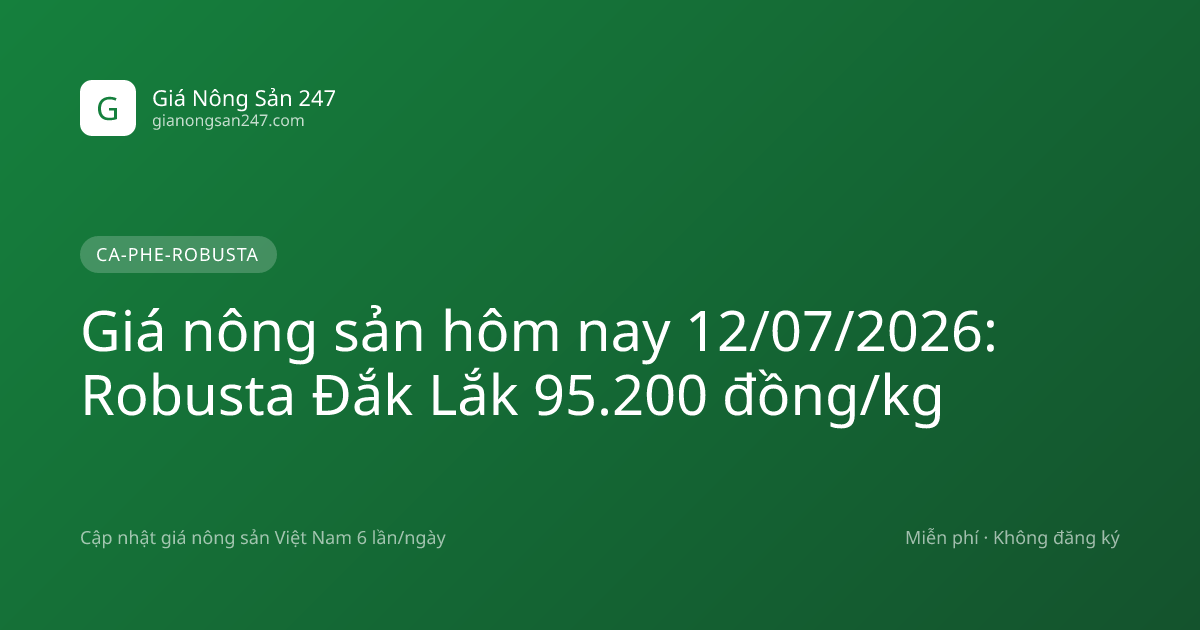 Giá nông sản hôm nay 12/07/2026: Robusta Đắk Lắk 95.200 đồng/kg