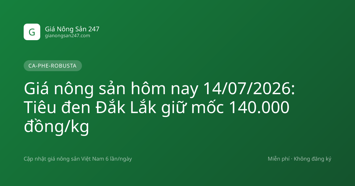 Giá nông sản hôm nay 14/07/2026: Tiêu đen Đắk Lắk giữ mốc 140.000 đồng/kg