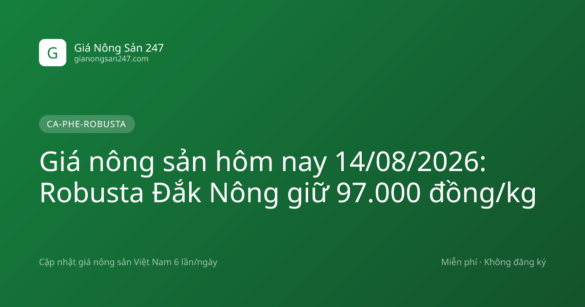 Giá nông sản hôm nay 14/08/2026: Robusta Đắk Nông giữ 97.000 đồng/kg