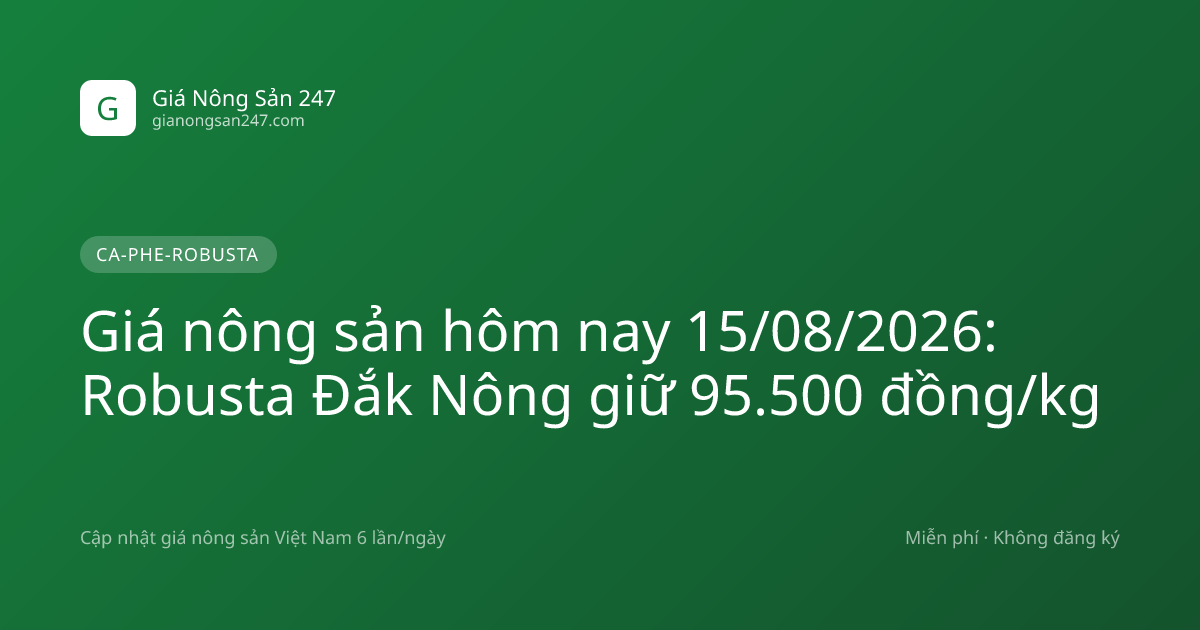 Giá nông sản hôm nay 15/08/2026: Robusta Đắk Nông giữ 95.500 đồng/kg