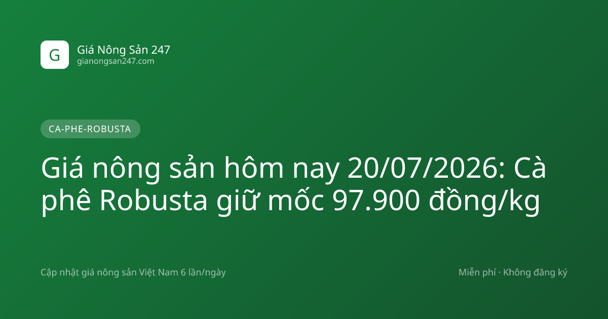 Giá nông sản hôm nay 20/07/2026: Cà phê Robusta giữ mốc 97.900 đồng/kg