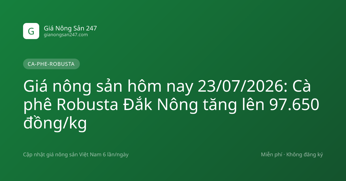 Giá nông sản hôm nay 23/07/2026: Cà phê Robusta Đắk Nông tăng lên 97.650 đồng/kg