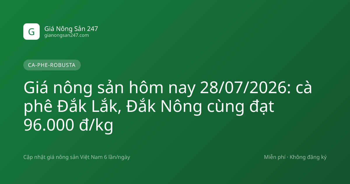 Giá nông sản hôm nay 28/07/2026: cà phê Đắk Lắk, Đắk Nông cùng đạt 96.000 đ/kg