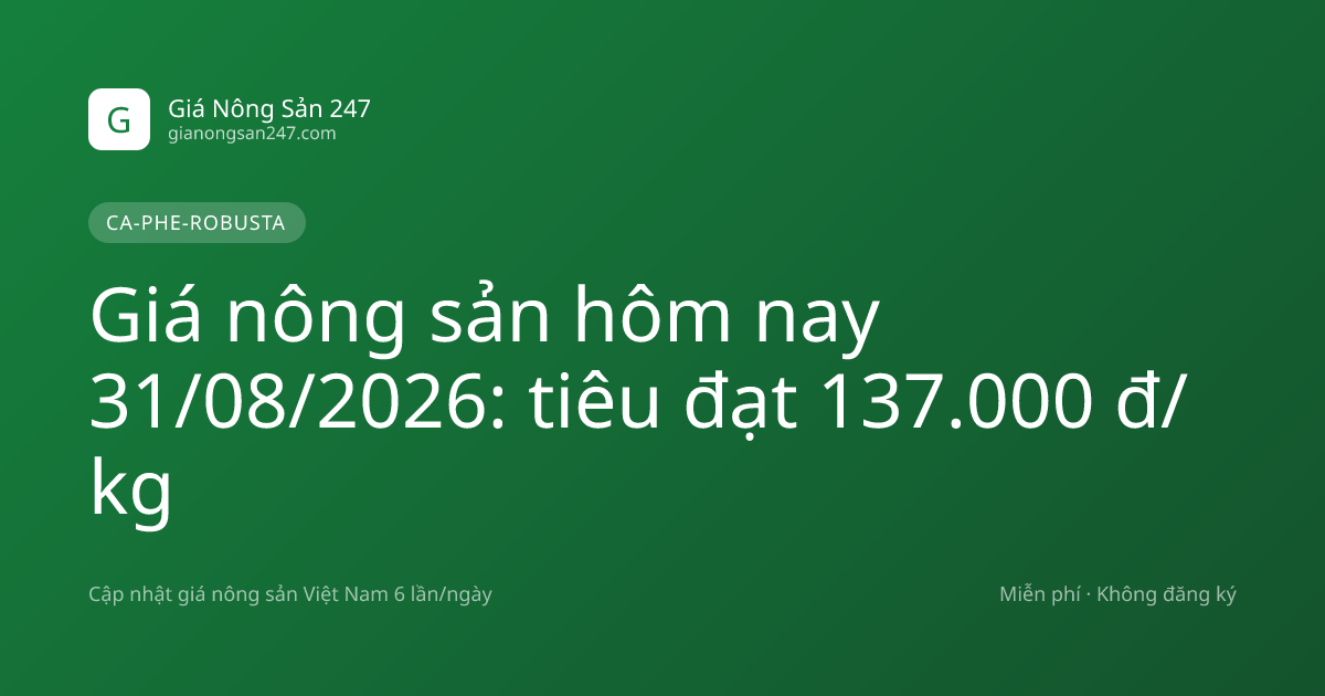 Giá nông sản hôm nay 31/08/2026: tiêu đạt 137.000 đ/kg