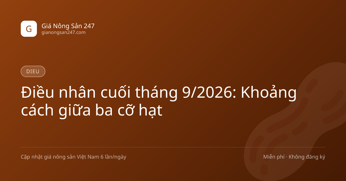 Điều nhân cuối tháng 9/2026: Khoảng cách giữa ba cỡ hạt