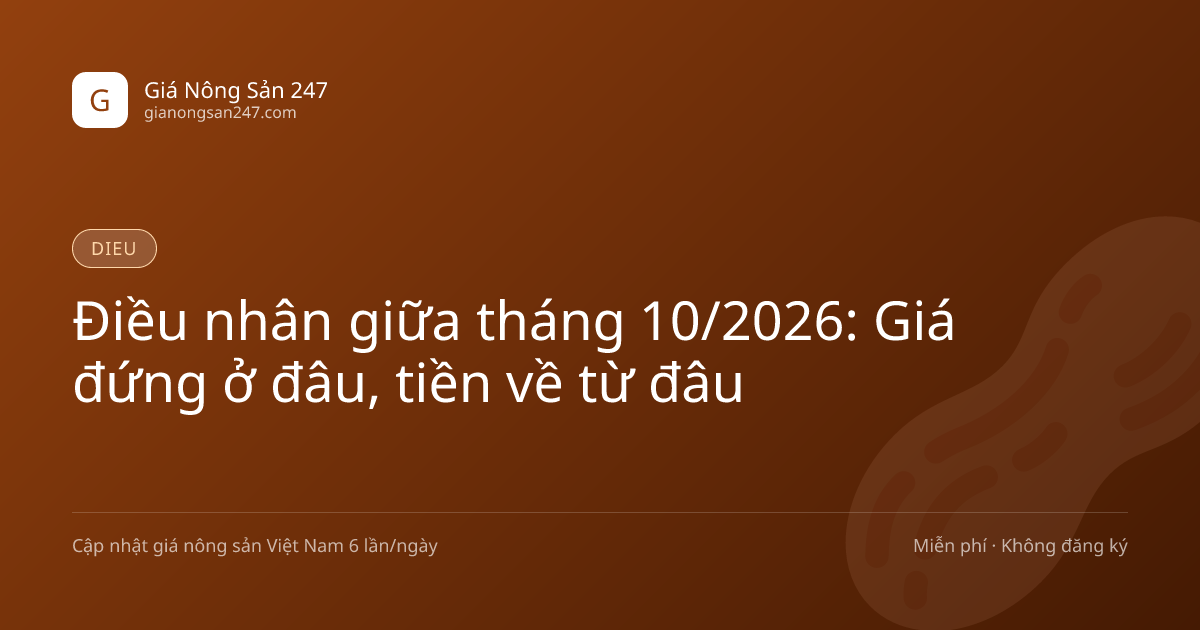 Điều nhân giữa tháng 10/2026: Giá đứng ở đâu, tiền về từ đâu