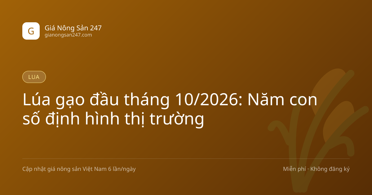 Lúa gạo đầu tháng 10/2026: Năm con số định hình thị trường